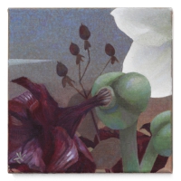 https://www.elisabeth-muehlen.de:443/files/gimgs/th-94_i-insta22Amaryllis links3a.jpg